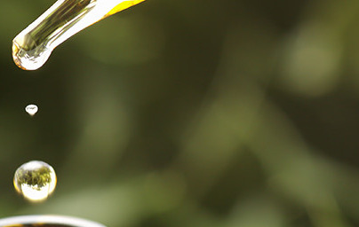 Масло от жожоба (Simmondsia chinensis) Масло от жожоба (Simmondsia chinensis)